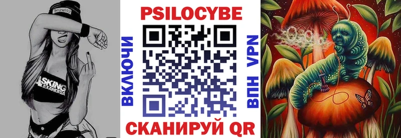 купить наркотик  гидра как войти  Галлюциногенные грибы мицелий  Елизово 